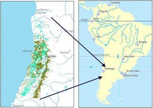 Distribution of espinal (light green) and sclerophyllous forest (dark green) within the study region (IV Region (Coquimbo) through the VII Region (Maule)), corresponding to central Chile, shown in the South American context. (For interpretation of the references to color in this figure legend, the reader is referred to the web version of this article.)