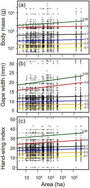 Relationships between habitat patch size and three biometric traits—(a) body mass; (b) gape width, and (c) hand-wing index (HWI)—in frugivorous bird assemblages. Black dots represent trait values for each bird species of an assemblage (y-axis) in each forest patch. Colored lines show the quantile regression for six different quantiles: τ=0.1 (yellow), τ=0.3 (orange); τ=0.5 (blue); τ=0.7 (black); τ=0.9 (red) and τ=0.95 (green). (For interpretation of the references to color in this legend, the reader is referred to the web version of the article.)