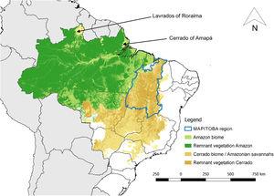 Map of Brazil showing the Amazon and Cerrado biomes with remnant vegetation highlighted, the major Amazonian savannahs, and the Brazilian states in which they occur. The biome limits are based on the Brazilian Institute of Geography and Statistics (IBGE) vegetation cover map (IBGE, 2004), remnant vegetation is based on LAPIG (2019).