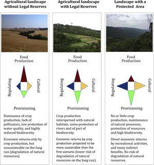 Contribution of landscapes with different levels of native vegetation protection to the provision of ecosystem services.