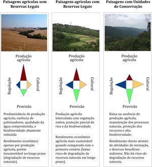 Contribuições de paisagens com diferentes níveis de proteção da vegetação nativa para a provisão de serviços ecossistêmicos.
