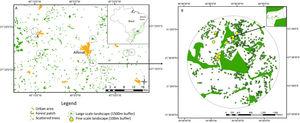 Study area in human-modified landscapes in Atlantic Forest, Brazil. We used a stratified random strategy considering two spatial scales to define the sampling units. At larger scale (A, considering 1.5km buffers around the centroid of the focal forest patch), where we selected eight landscapes. In each large landscape, we selected 10 sampling scattered trees, where we measured landscape metrics at finer scale (B, considering 100m buffers around the scattered trees), except for 1 landscape that sampled 9 trees.