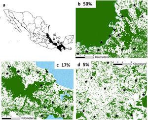 Location of the three study regions in southeastern Mexico (a). We indicate the remaining forest cover (in percentage) in each region. The study forest patches are indicated in black stars. The remaining forest cover is in dark green, anthropogenic matrix in white, and water bodies in dotted blue. (For interpretation of the references to color in this figure legend, the reader is referred to the web version of this article.)
