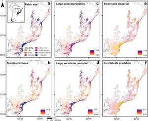 Spatial distribution of patch size (a), and predictions of species richness (b), and vulnerable (c and d) and persistent functions (e and f) performed by assemblages of medium- and large-sized mammals of the Atlantic Forest, Brazil (see also Appendix 5).