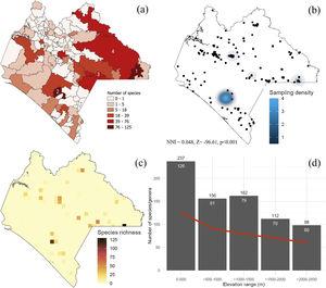 Species richness of Erebidae in Chiapas. (a) Municipalities. 1 = Marqués de Comillas, 2 = Ángel Albino Corzo, 3 = La Independencia, 4 = Ocosingo. (b) density of sampling records, (c) species richness distribution. Each grid cell is 10 km2. Grids were only generated upon sampling locations. (d) Species richness along the elevational range. The red line represents the generic richness trend. Number of genera and species are indicated in white and black, respectively. NNI = Nearest Neighbor Index showing that sampling records are far to be random.