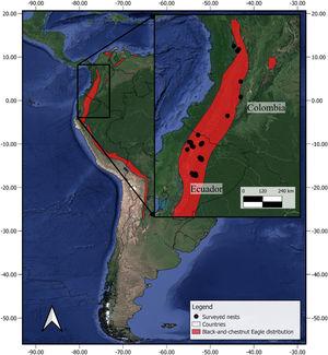 Study area within the black-and-chestnut eagle (Spizaetus isidori) distribution range (http://www.birdlife.org) in the Neotropics. Surveyed nests were located in the central and western Andes of Colombia (n = 6) and in the northern and central Andes of Ecuador (n = 21).