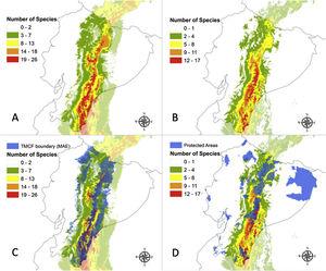 Reconstruction of Tropical Montane Cloud Forest in Ecuador (TMCF) using community-level niche models per sum of species under (A) current climatic conditions; (B) under the optimistic ACCESS 1.0/ RCP4.5 model for the year 2050; (C) Overlap of the reconstructed TMCF boundaries with TMCF as defined by Ecuador National Ecosystems (in blue); and (D) the overlap of TMCF reconstruction according to the optimistic ACCESS 1.0/ RCP4.5 model and the protected areas (in blue) of Ecuador.
