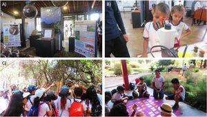 "Cerrado Week" at the Botanical Garden of Brasília. (A) Exhibition on Cerrado biota. (B) Students observing drosophilids species from the Cerrado. (C) Activities on trails with explanations about animals and plants. (D) Cerrado-themed outdoor games.