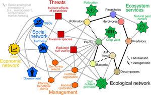 An example of a merged agricultural network. Symbols represent threats to ecosystems (red squares), management interventions or actions (orange hexagons), social actors (blue pentagons), ecological networks (circles, where individual symbols represent individual species) and the ecosystem services (green stars) and economic compartments (yellow star). The figure covers only a subset of the potential social actors, economic pressures, threats, management actions and ecosystems services that are present in agricultural systems. Threats can directly link to ecosystem services, but also threaten their provision through ecological networks. Management can occur in response to threats and translates to ecosystem services through impacting the structure and function of the ecological network. Different types of interactions require different data, for example interactions between management and threats can be quantified by assessing the success of previous management interventions using monitoring.