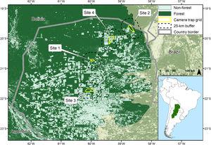 Location of the Dry Chaco in South America (inset) and locations of camera trap grids and their 25 km buffers in the Paraguayan Dry Chaco (Olson et al., 2001) in relation to forest cover in 2017 (Hansen et al., 2013).