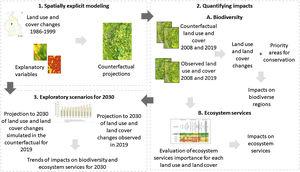 Main research steps to investigate biodiversity and ecosystem services losses and gains.