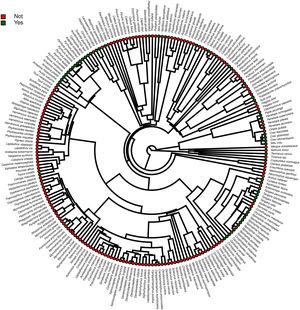 Phylogeny evidencing the distribution across clades of the threatened Brazilian avian taxa present in non-conservation captive facilities. The consensus Maximum Credibility Tree was generated from 2500 trees derived from the Mega Tree of birdtree.org.
