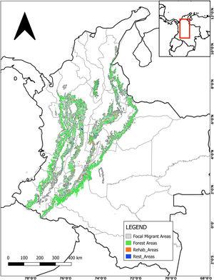 Migrant Focal Areas: Elevation belt from 1000 to 2300 m asl in Colombia where four or more of the six focal declining species are present. We identified and defined Forest, Rehabilitation and Restoration Areas within Migrant Focal Areas. Gray regions indicate degraded areas within Migrant Focal Areas that are not prioritized by the Colombian National Restoration Plan.