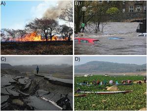 Pictures of natural hazards impacts and invasive alien species. A) Wildfire, South Africa, 2014 B) Flood, Bingley UK, 2015 C) Earthquake, 2021 and D) Invasive water hyacinth clogging waterways (Eichhornia crassipes) Jatiluhur, Purwakarta Regency, West Java, Indonesia, 2021. Pictures by A) Anna Turbelin, B) Chris Gallagher on Unsplash, C) Dave Goudreau on Unsplash, and D) Eka P. Amdela on Unsplash.