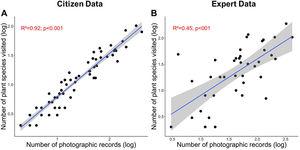 (A) Relationship between number of plant species visited by hummingbirds and the number of photographic records in the Wikiaves platform (B) Relationship between the number of plant species visited by hummingbirds recorded by experts and the number of photographic records in Wikiaves.