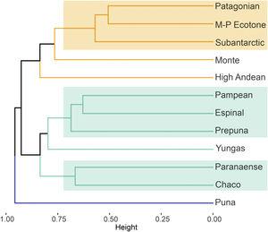 UPGMA cluster dendrogram of phytogeographic provinces of Argentina according to the useful species. Different colors represent three main clusters. Rectangles represent sub-clusters (see methods for more details).