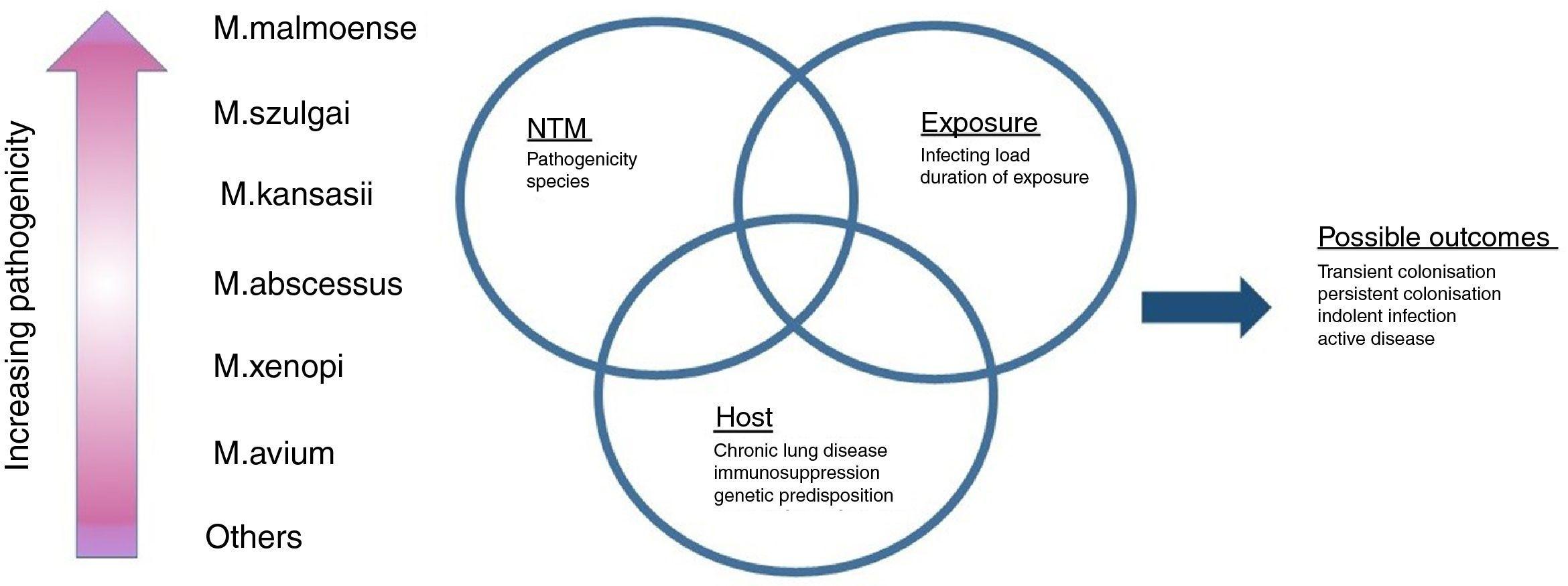 Prognosis of nontuberculous mycobacterial pulmonary disease