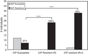 Relative risk of cross resistance in RGM. Cross-susceptibility profiles to ciprofloxacin (CIP) and sulfamethoxazole (SXT) in RGM suggest a strong correlation on the relative risk of having sulfamethoxazole resistance in isolates resistant to ciprofloxacin compared to susceptible isolates. In the fraction of the population with RGM CIP Susceptible only 37% of the individuals displayed resistance to SXT. However, in the fraction of population with RGM CIP Resistant alone (R) or combined with Intermediate resistance (R+I), 100% or 95% of the individuals also displayed resistance to SXT, respectively (*** stands for p<0.001, z-test; R, resistant; I, intermediate resistant).