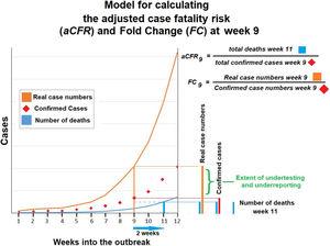 Model demonstrating adjusted case fatality risk and fold change at week 9 of the COVID-19 outbreak. Case fatality risk may surpass 100% if death tolls are higher than confirmed cases 14 days prior.
