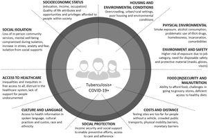 Social determinants for TB and COVID-19.