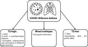 Summary of the main evidence about severe asthma endotypes and COVID-19 disease mechanisms. Legend: ACE2: angiotensin-converting enzyme 2 receptor; COVID-19: coronavirus disease 2019; IL: interleukin; NETs: neutrophil extracellular traps; Th1: T Helper 1 cell.