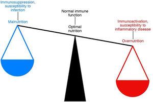 The delicate balance between nutrition and immunity.