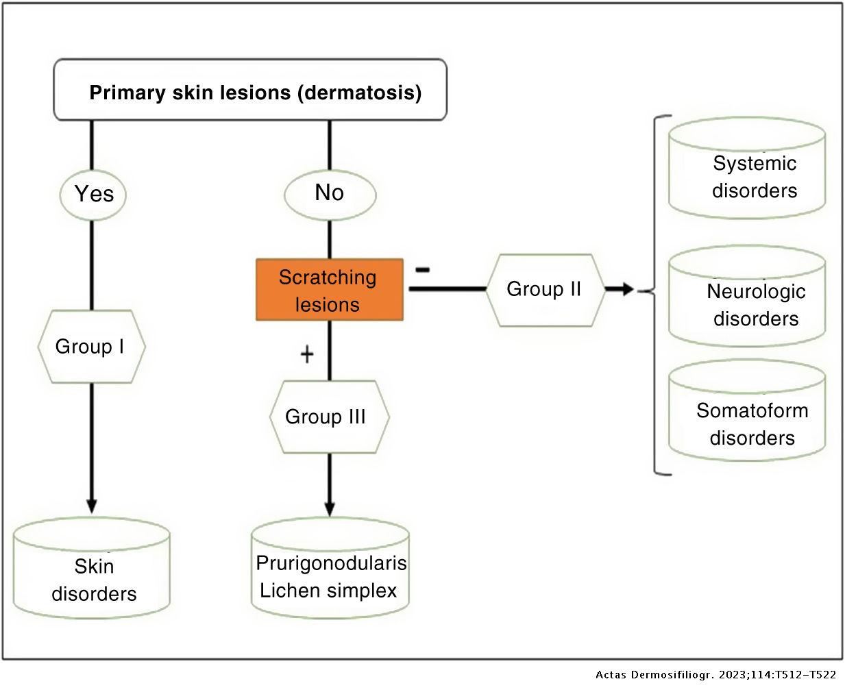 Primary Skin Lesions Chart