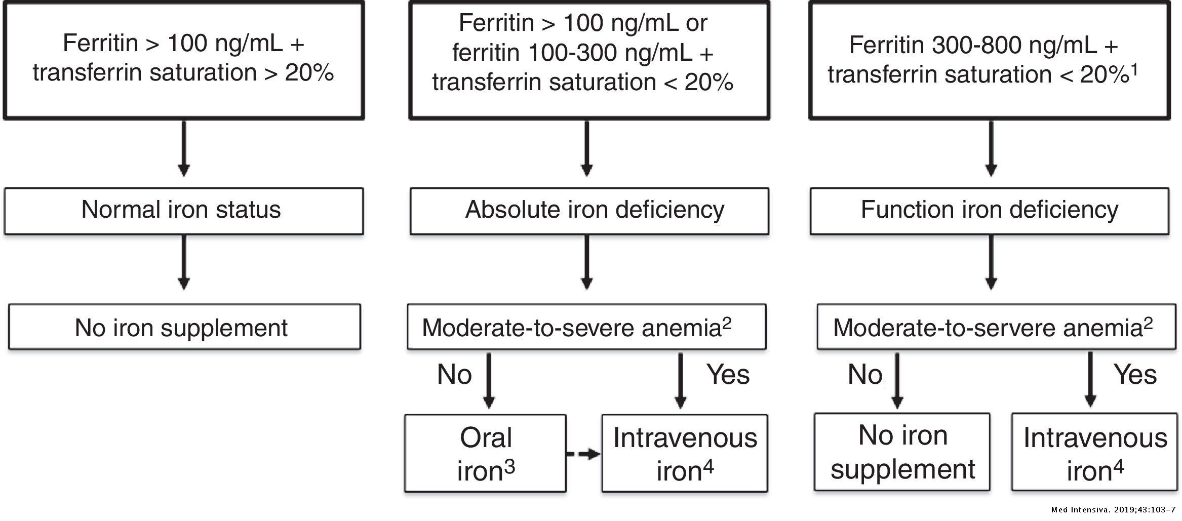 Is there a role for iron supplementation in critically ill patients ...