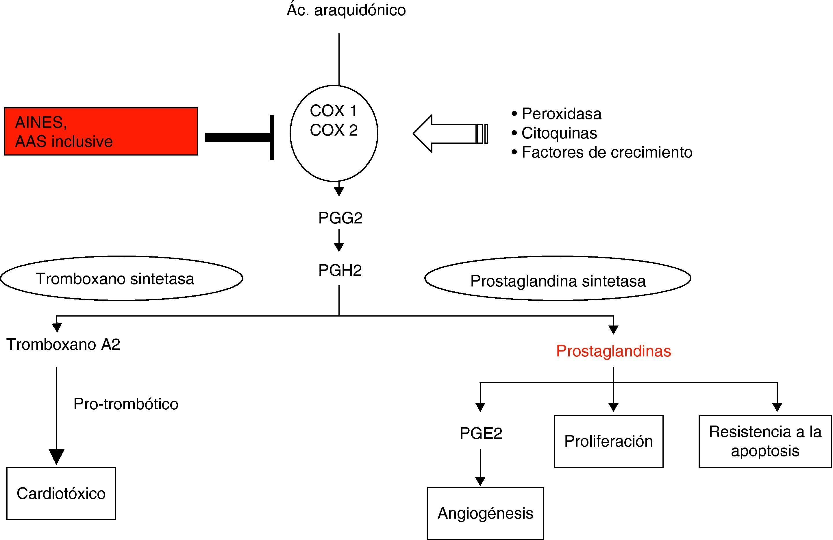 Aspirina en la prevención del cáncer colorrectal Gastroenterología y