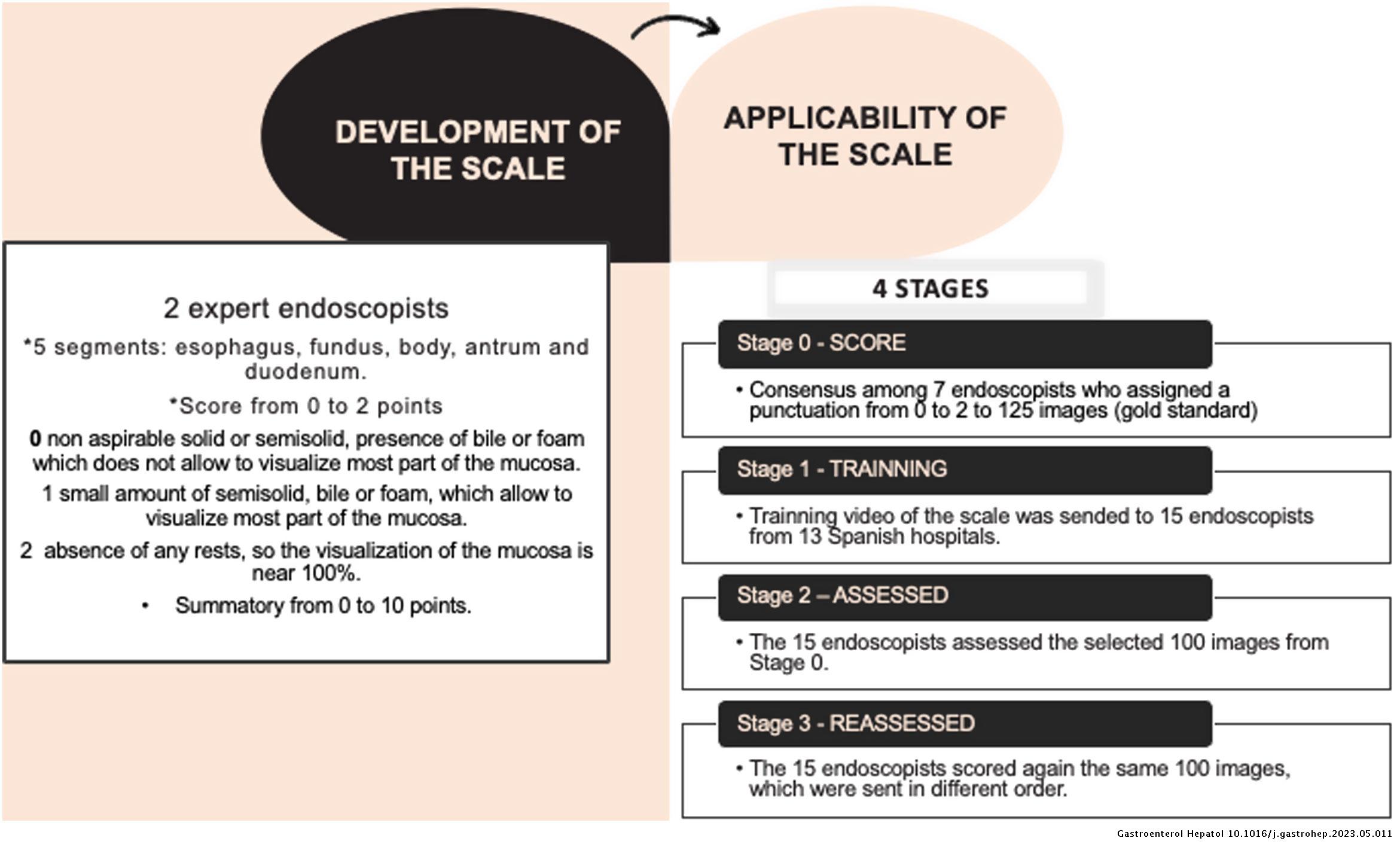 Applicability of the Barcelona scale to assess the quality of ...