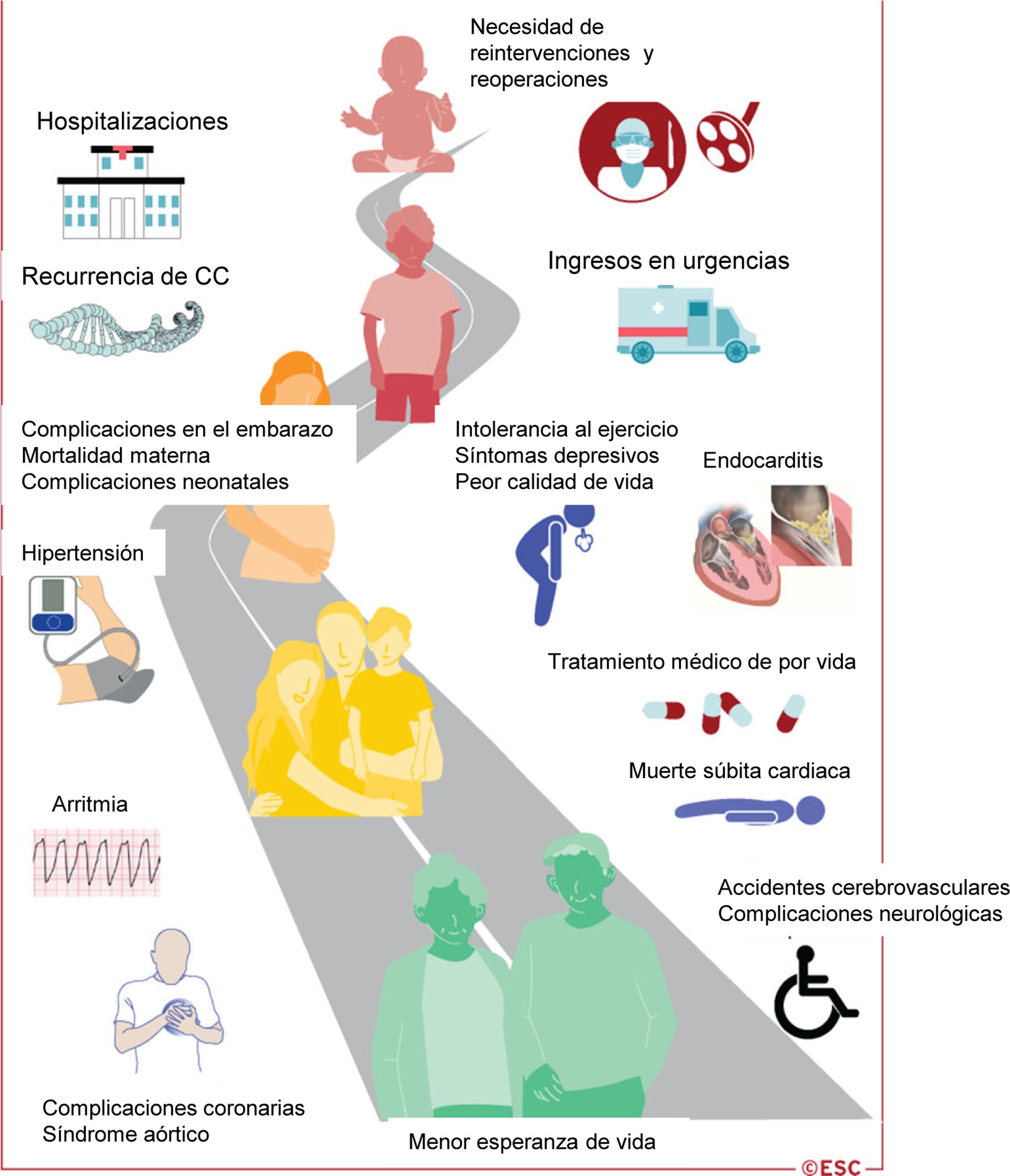 Guía Esc 2020 Para El Tratamiento De Las Cardiopatías Congénitas Del