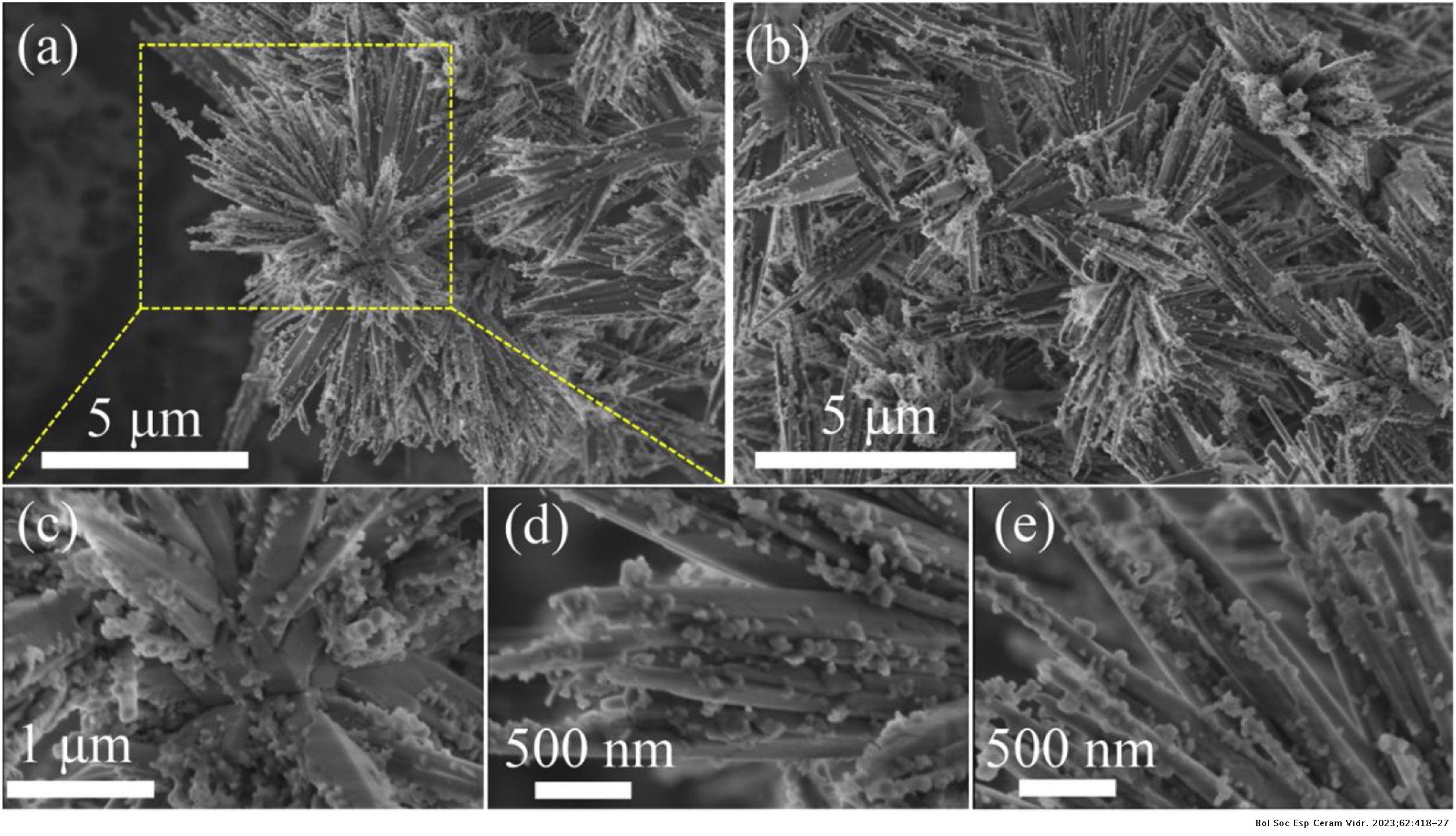 CTAB-mediated lithium disilicate branched structures as superb ...