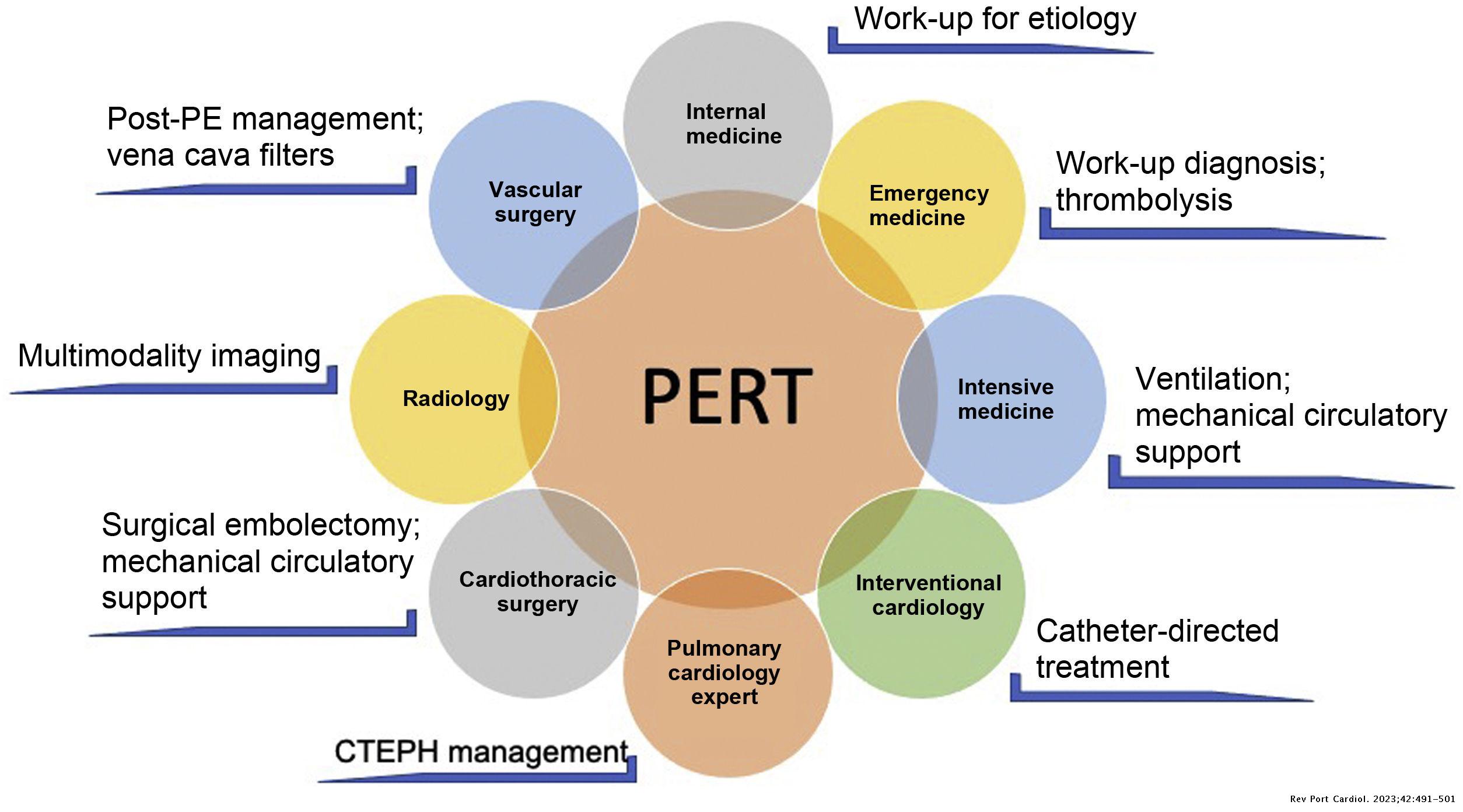 Blueprint for developing an effective pulmonary embolism response ...