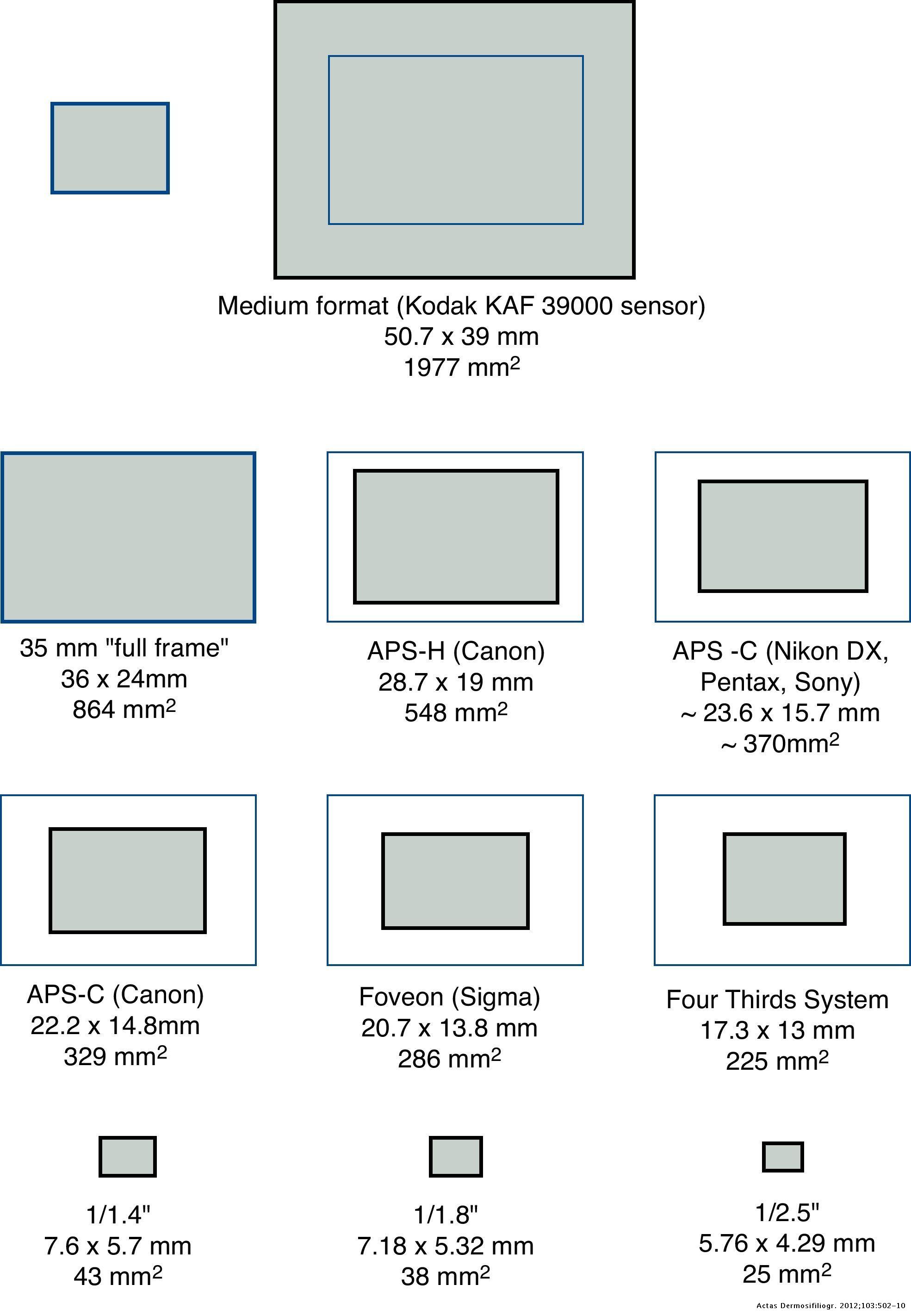 Guide to Buying a Camera for Dermatological Photography | Actas Dermo ...