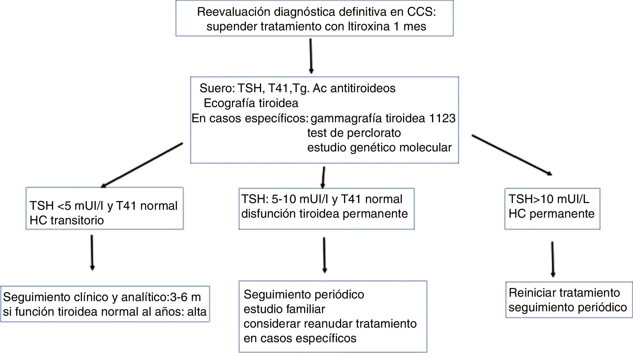 Diagnóstico Y Seguimiento De Los Pacientes Con Hipotiroidismo Congénito