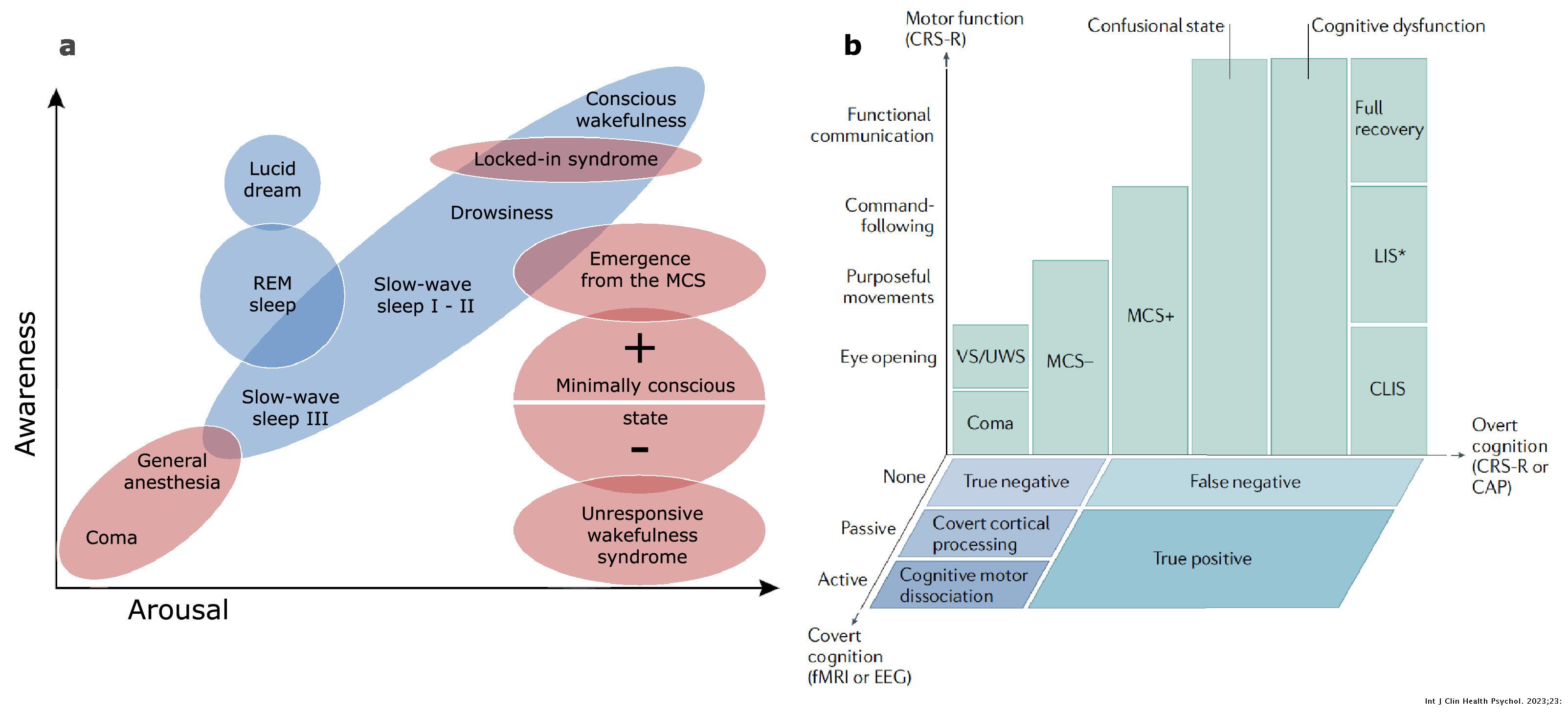 Towards modern post-coma care based on neuroscientific evidence ...