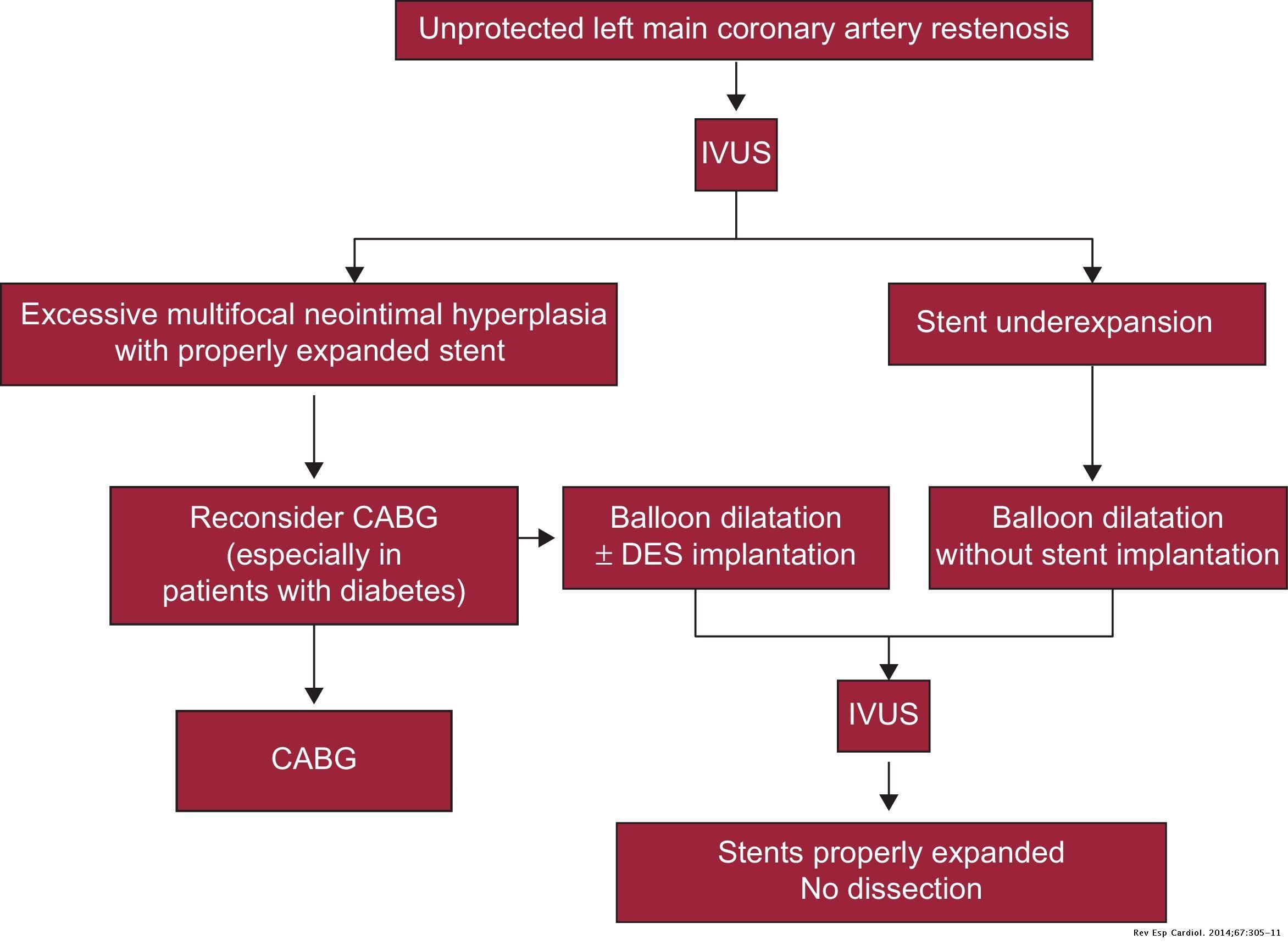Update on Interventional Cardiology 2013 | Revista Española de Cardiología