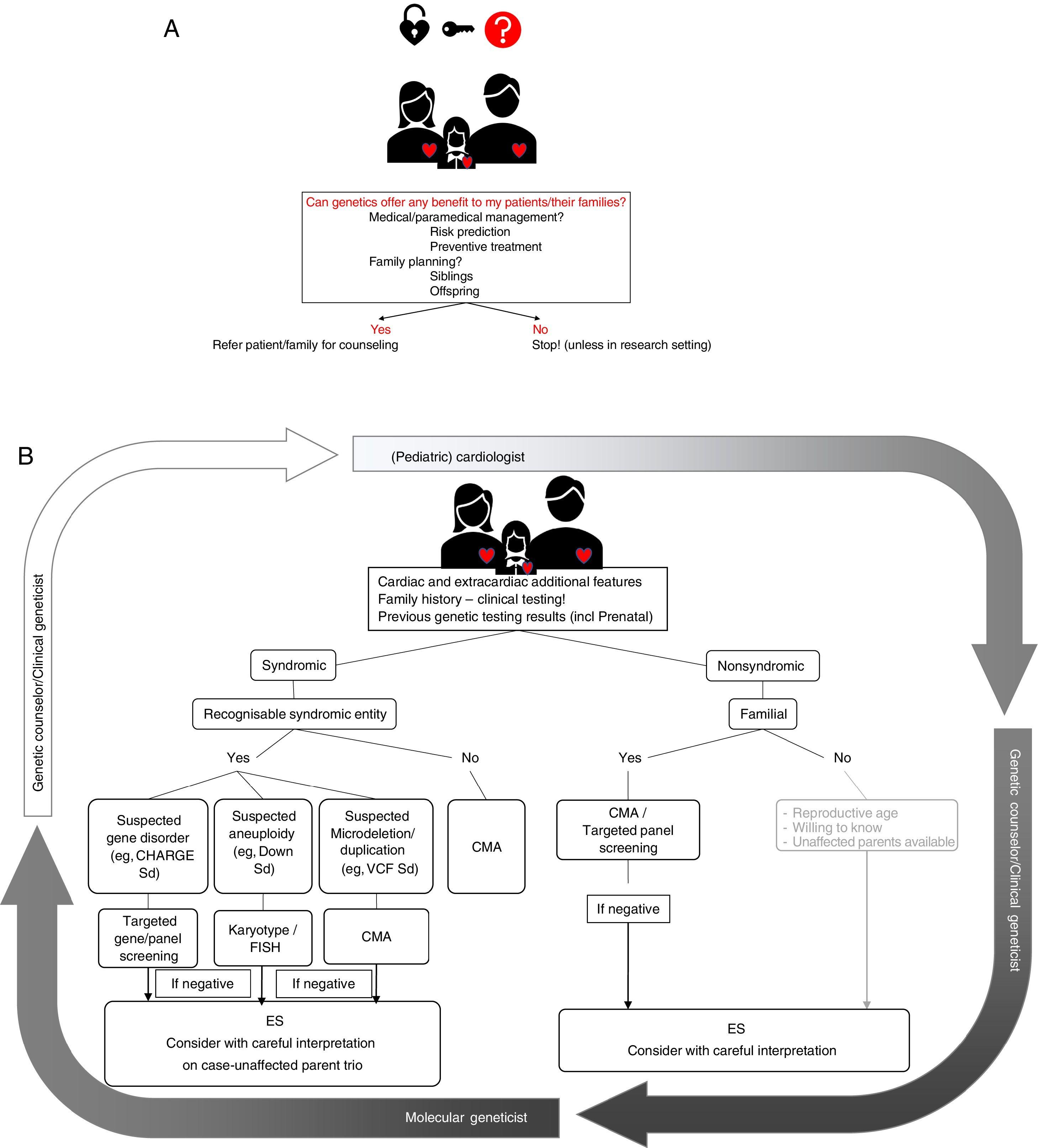 Genetics In Congenital Heart Disease. Are We Ready For It? | Revista ...