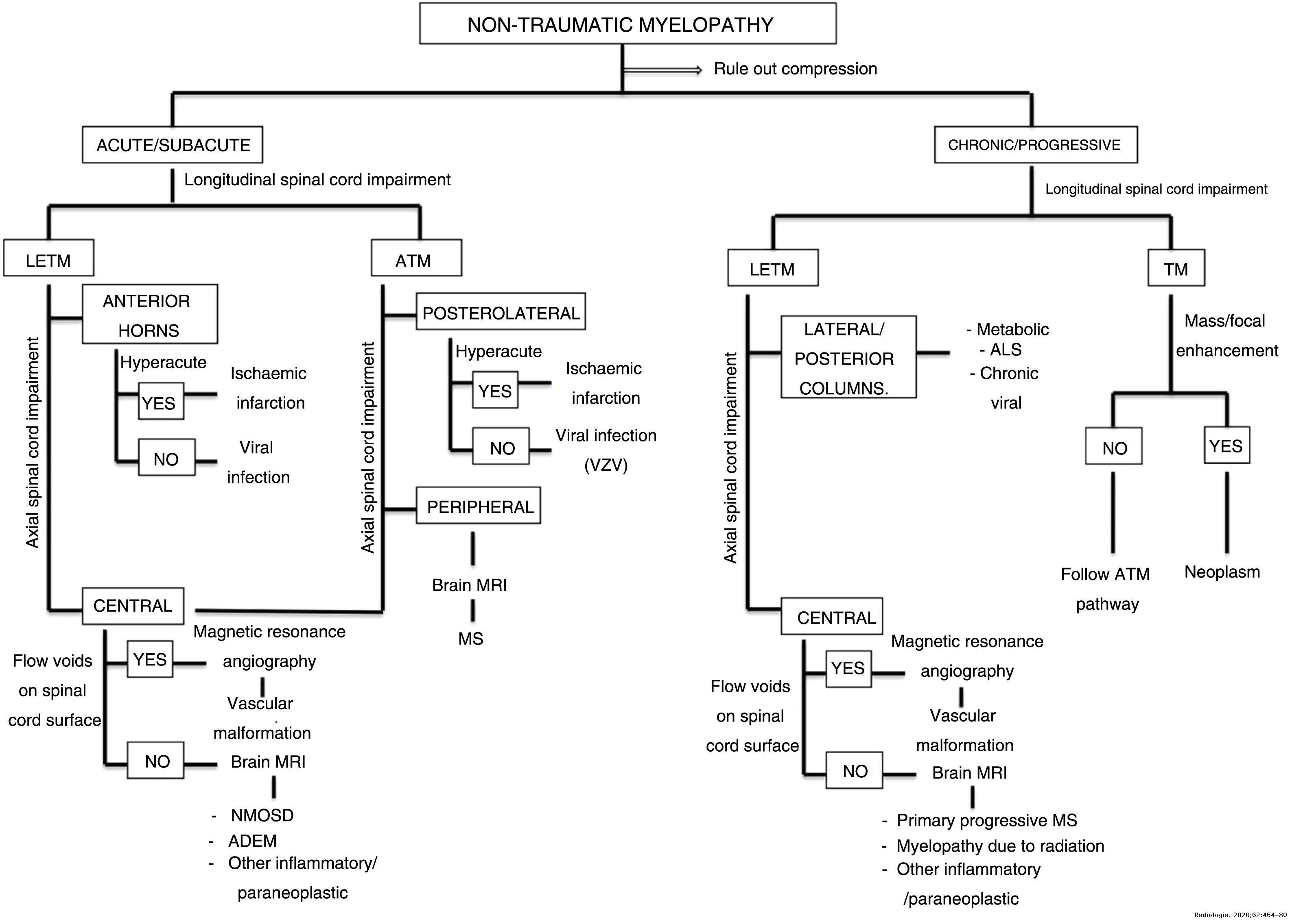 Clinical-radiological approach to nontraumatic myelopathy | Radiología ...