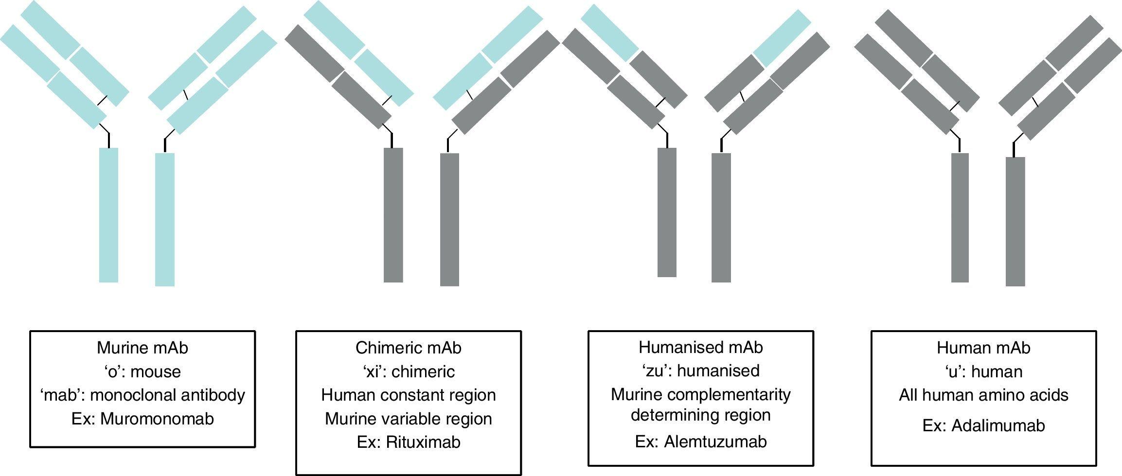 Safety profile and practical considerations of monoclonal antibody treatment Neurología