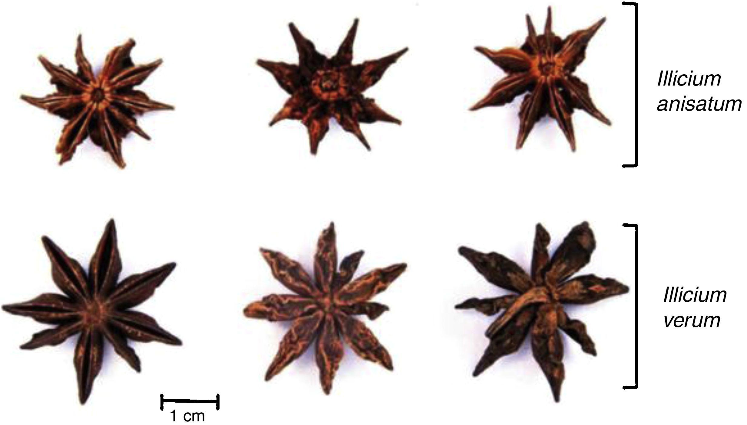 New cases of star anise poisoning: are we providing enough information ...