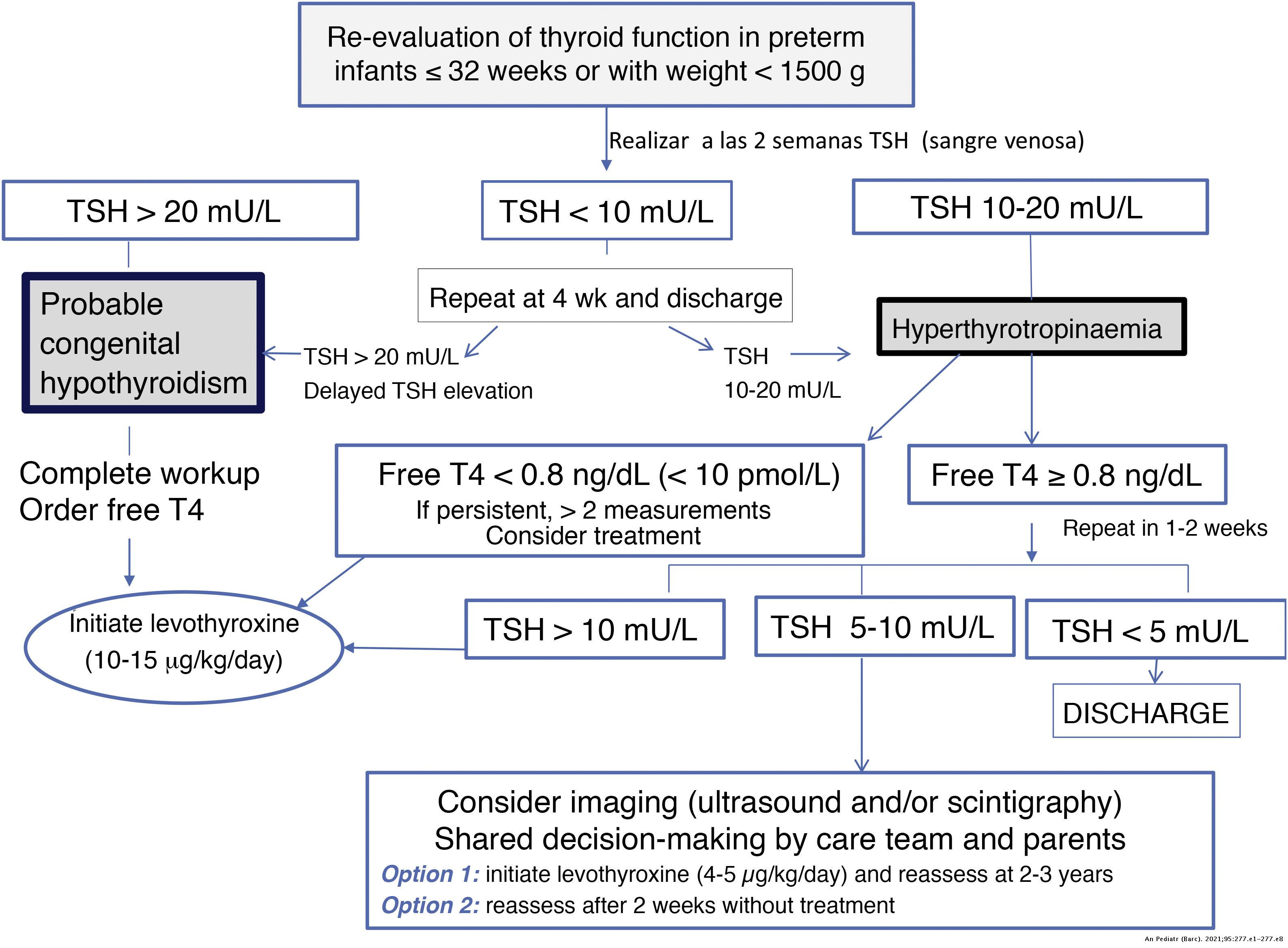 Assessment of thyroid function in the preterm and/or very low birth ...