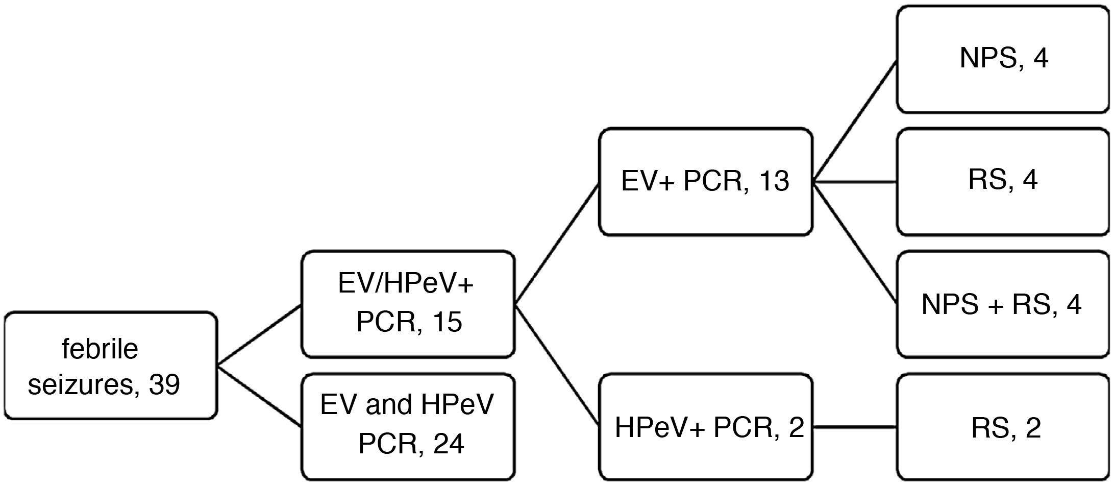 Association Between Febrile Seizures And Enterovirus And Parechovirus ...