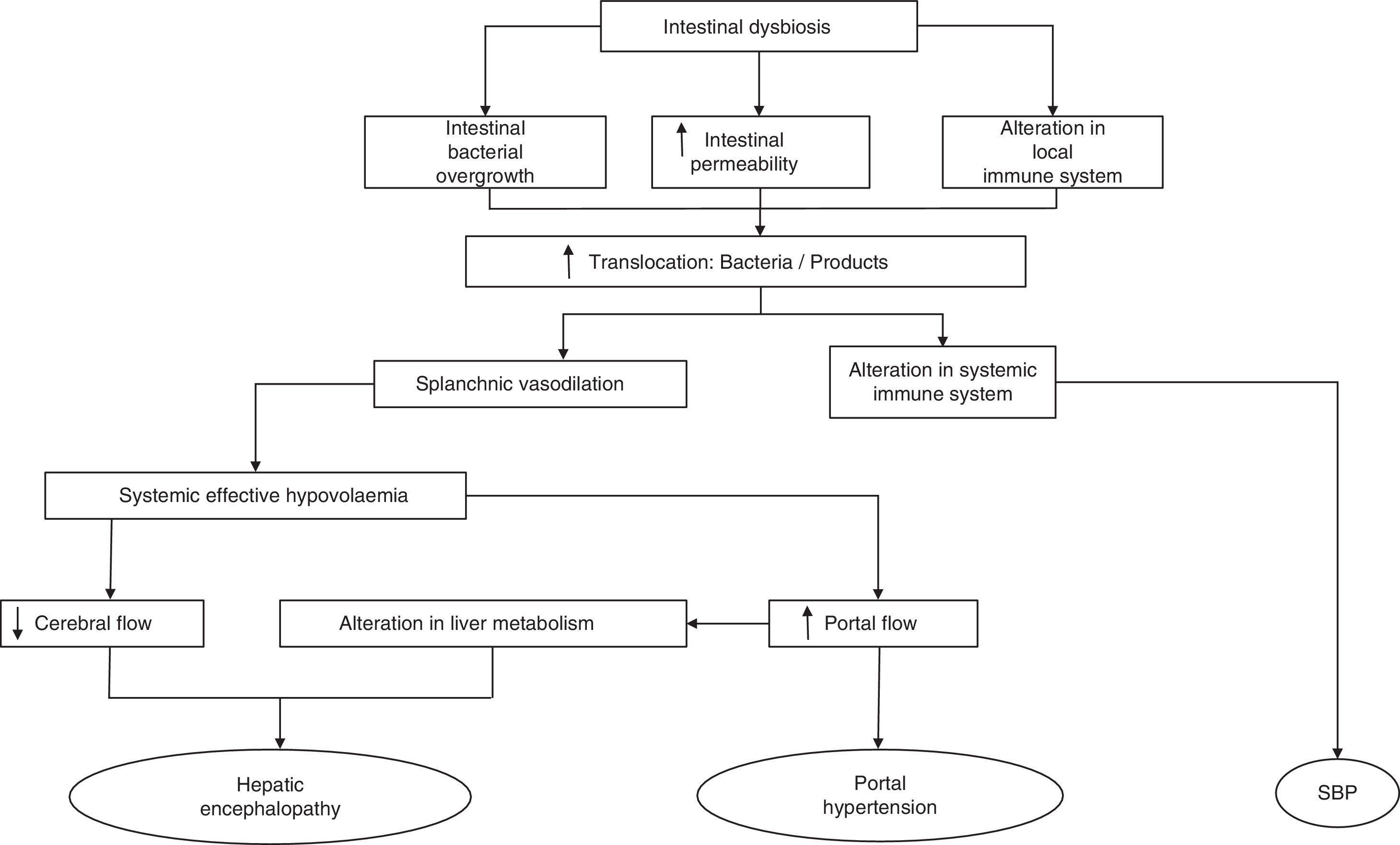 Microbiome and bacterial translocation in cirrhosis | Gastroenterología ...
