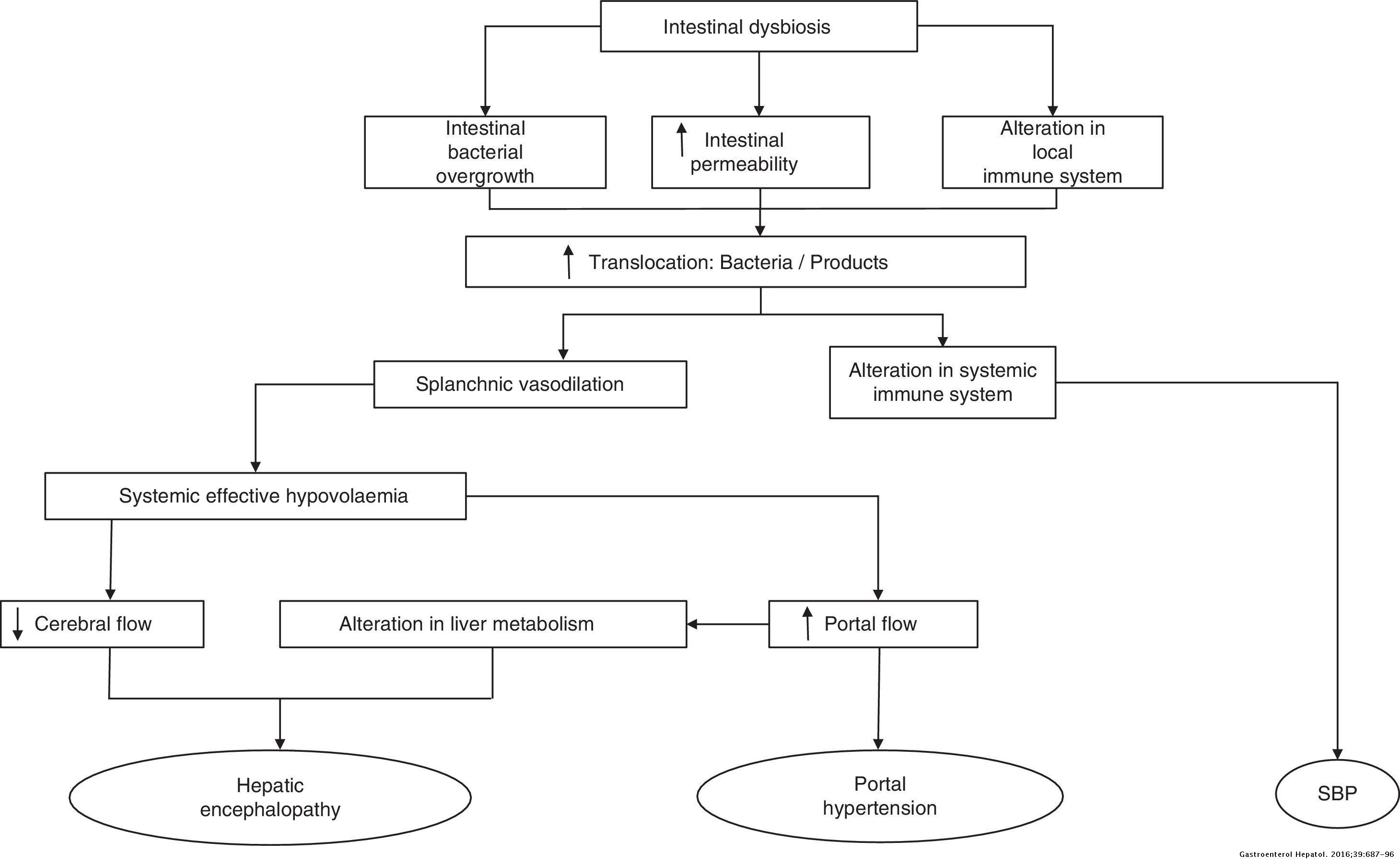 Microbiome and bacterial translocation in cirrhosis | Gastroenterología ...