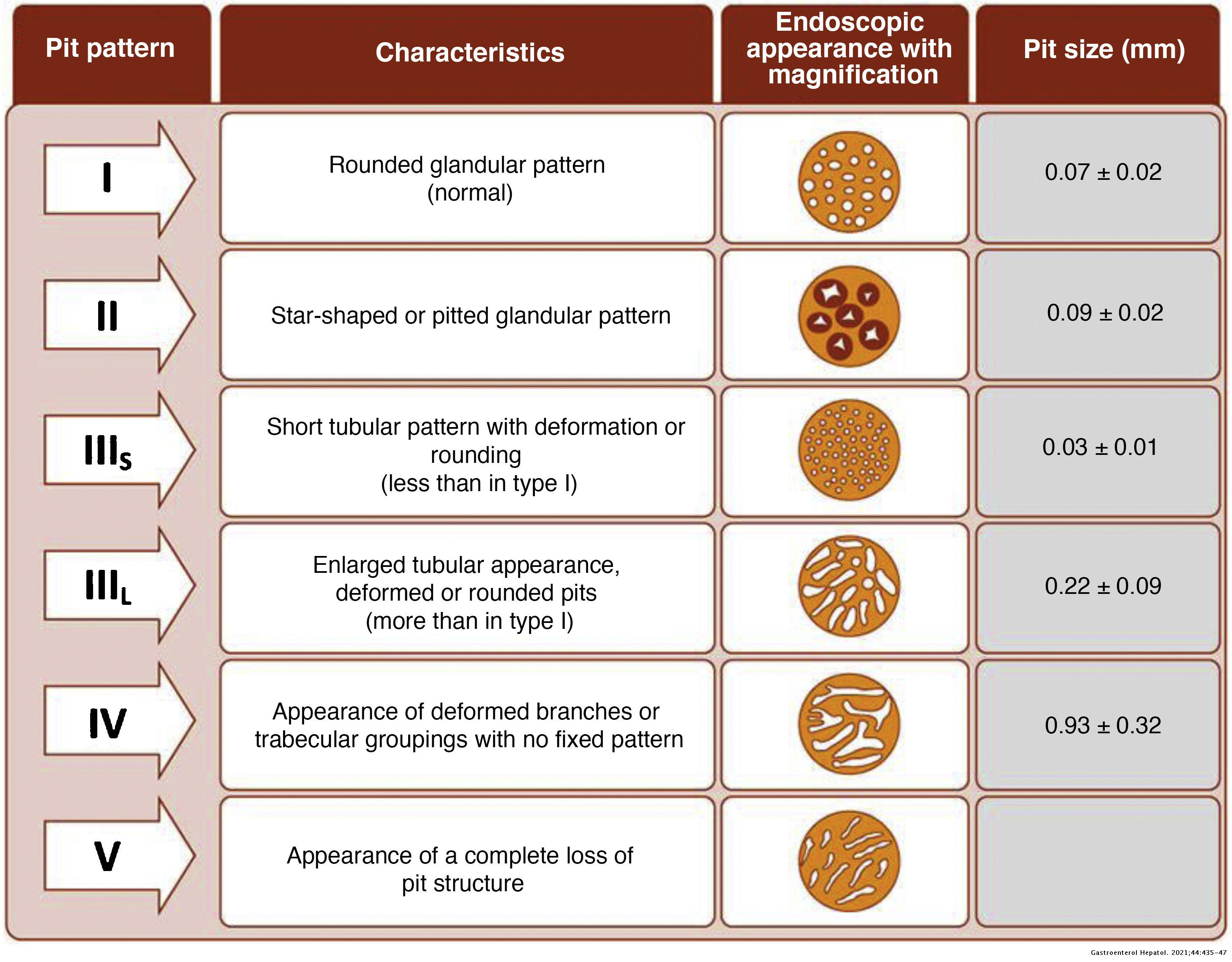 Recommendations of the Spanish Working Group on Crohn’s disease and ...
