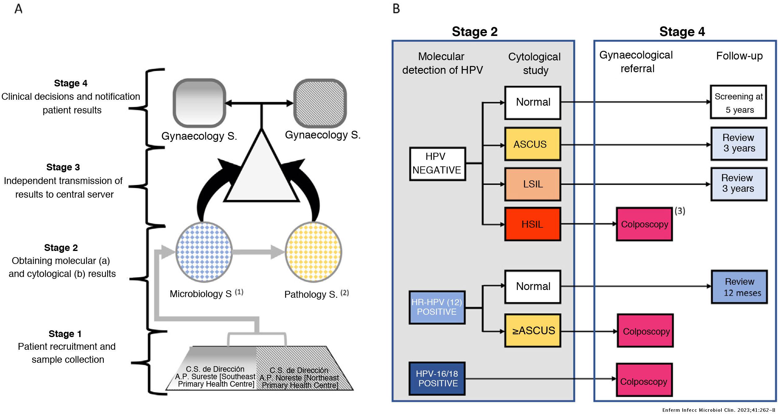 Comparative pilot study about HPV test with partial genotyping in ...