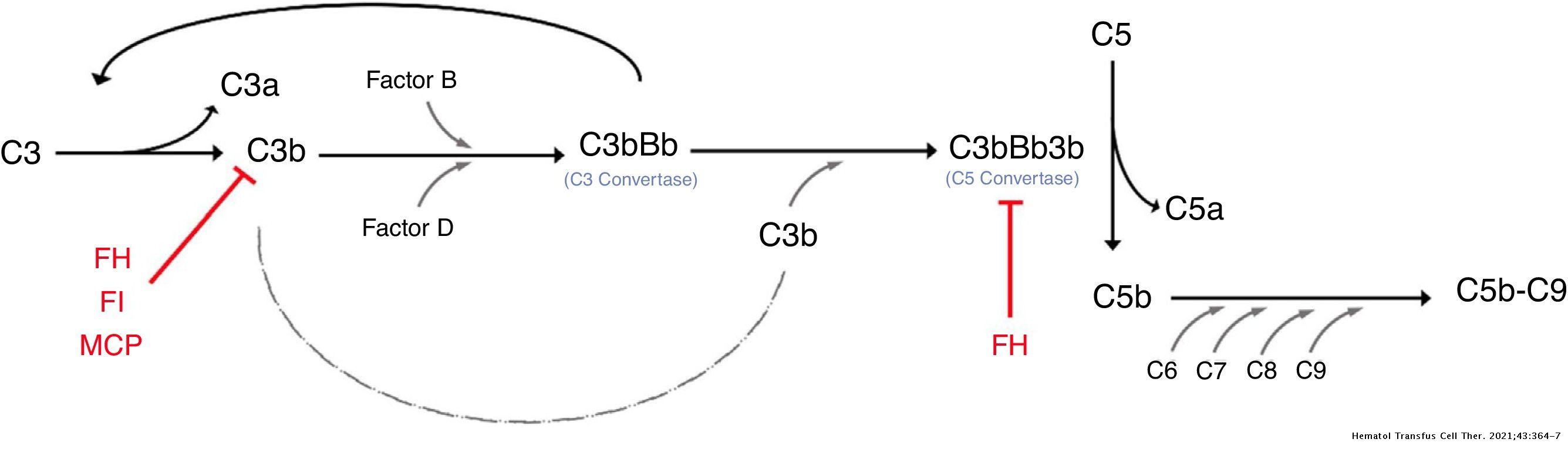 Complement C3 mutation causing atypical hemolytic uremic syndrome ...