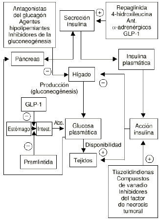 Que Es La Diabetes Mellitus No Insulinodependiente