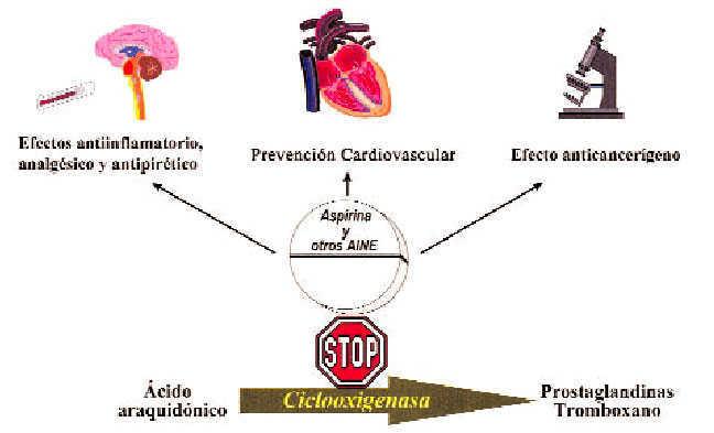 Los Nuevos Antiinflamatorios Medicina Integral - como conseguir robux 100 real accion de aspirina en plaquetas